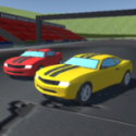 双人赛车3D v2.01.1  